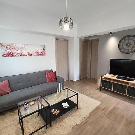 Meteora Rocks Apartment 2 칼람파카 외부 사진